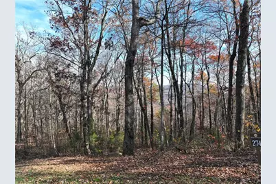 274 Andes Ridge, Ellijay, GA 30536 - Photo 50