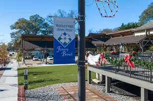 6745 Leigh St, Flowery Branch, GA 30542 - Photo 98