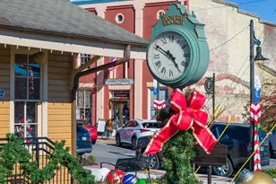 6745 Leigh St, Flowery Branch, GA 30542 - Photo 100