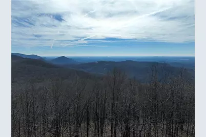 256 Blood Root Trail, Ellijay, GA 30536 - Photo 1