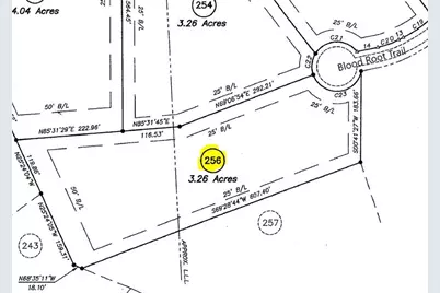 256 Blood Root Trail, Ellijay, GA 30536 - Photo 4