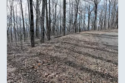 256 Blood Root Trail, Ellijay, GA 30536 - Photo 2