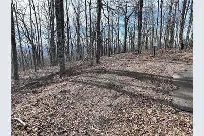 256 Blood Root Trail, Ellijay, GA 30536 - Photo 24