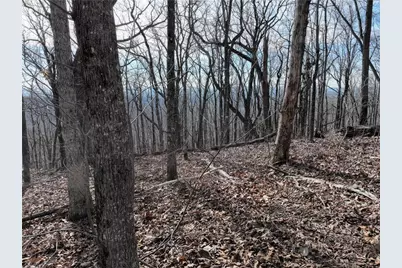 256 Blood Root Trail, Ellijay, GA 30536 - Photo 20