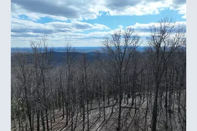 256 Blood Root Trail, Ellijay, GA 30536 - Photo 52