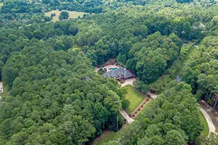 2431 Rabbit Farm Cir, Loganville, GA 30052 - Photo 58