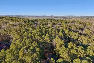 2513 Overlake Ln, Stockbridge, GA 30281 - Photo 42