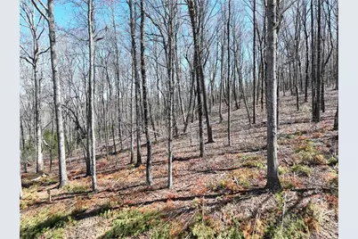 180 Trailwood Drive, Ellijay, GA 30536 - Photo 16