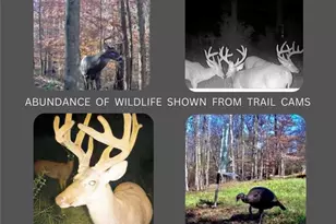 550 Freeman Ferry Rd SE, Rome, GA 30161 - Photo 58