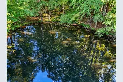 221 McAllister Road, Cornelia, GA 30531 - Photo 54