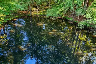 221 McAllister Rd, Cornelia, GA 30531 - Photo 54