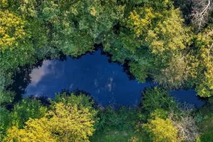 221 McAllister Rd, Cornelia, GA 30531 - Photo 52