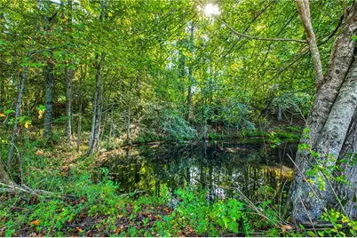 221 McAllister Road, Cornelia, GA 30531 - Photo 8