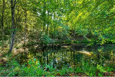 221 McAllister Road, Cornelia, GA 30531 - Photo 10