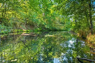 221 McAllister Rd, Cornelia, GA 30531 - Photo 6