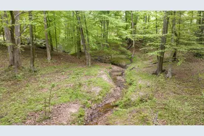 0 Louden Ridge Road, Alto, GA 30510 - Photo 4