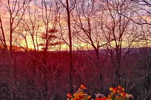 784 Fairway Dr, Jasper, GA 30143 - Photo 40