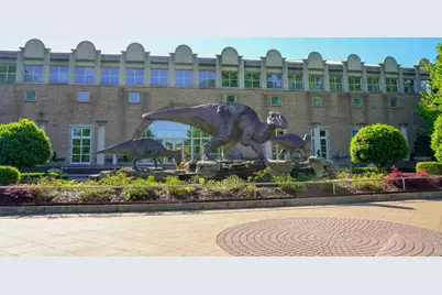 3265 Lions Ruby Lane, Atlanta, GA 30349 - Photo 10