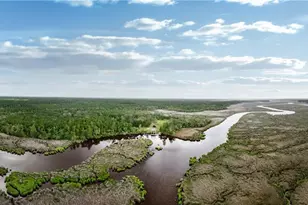 0 Iron Safe Rd, Brunswick, GA 31523 - Photo 1