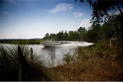 0 Iron Safe Road, Brunswick, GA 31523 - Photo 4