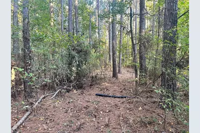 000 Us-411, Rydal, GA 30171 - Photo 14