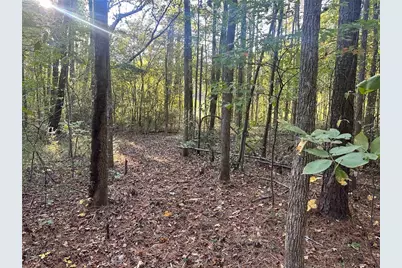 000 Us-411, Rydal, GA 30171 - Photo 16