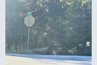 000 Us-411, Rydal, GA 30171 - Photo 8