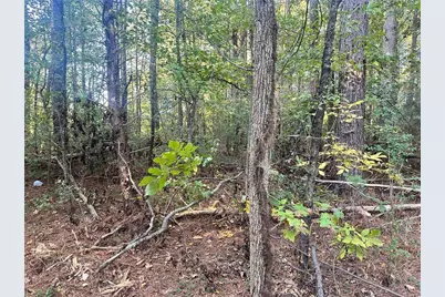 000 Us-411, Rydal, GA 30171 - Photo 12