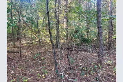 000 Us-411, Rydal, GA 30171 - Photo 18