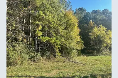 000 Us-411, Rydal, GA 30171 - Photo 1
