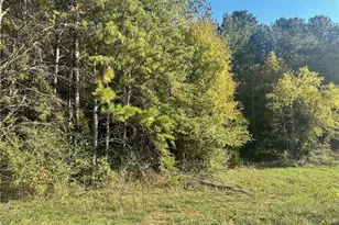 000 Us-411, Rydal, GA 30171 - Photo 1