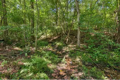 1330 Yonah Homer Road, Maysville, GA 30558 - Photo 44