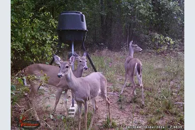 1330 Yonah Homer Road, Maysville, GA 30558 - Photo 54