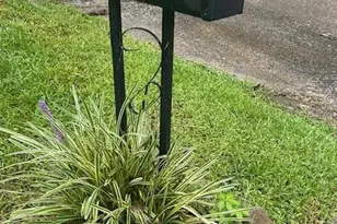 2928 Diana Dr SW, Atlanta, GA 30315 - Photo 16