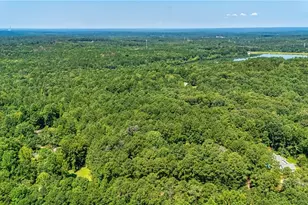 394 S Alexander Creek Rd, Newnan, GA 30263 - Photo 76