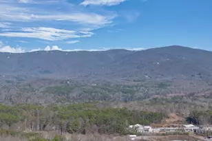 251 Deerberry Dr, Jasper, GA 30143 - Photo 74