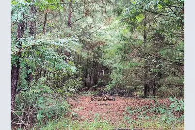 496 Flat Woods Road, Calhoun, GA 30701 - Photo 12