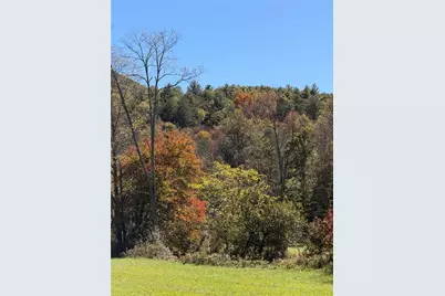 0 Old Bucktown Road, Ellijay, GA 30536 - Photo 4