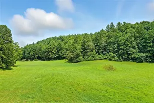 0 Old Bucktown Rd, Ellijay, GA 30536 - Photo 1