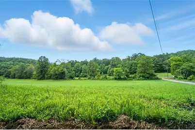 0 Old Bucktown Road, Ellijay, GA 30536 - Photo 6