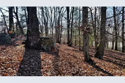 1785 Plunketts Road, Buford, GA 30518 - Photo 4