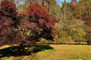 1319 Henry Evans Rd, Ellijay, GA 30536 - Photo 58