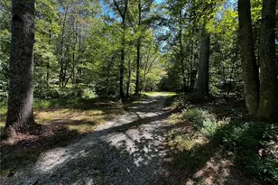 1319 Henry Evans Rd, Ellijay, GA 30536 - Photo 54