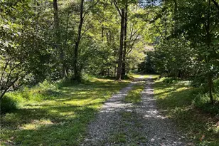 1319 Henry Evans Rd, Ellijay, GA 30536 - Photo 54