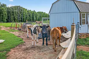 267 Bear Crk Mdws Dr, Bogart, GA 30622 - Photo 40