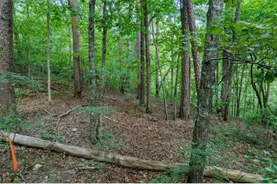 Lot 6 Heatherwood Way, Talking Rock, GA 30175 - Photo 8