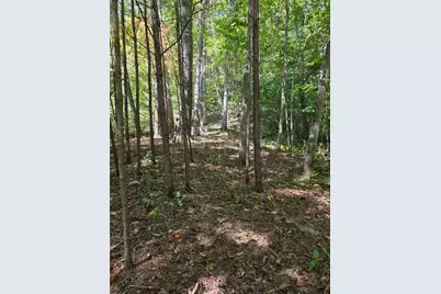 Lot 6 Heatherwood Way, Talking Rock, GA 30175 - Photo 10