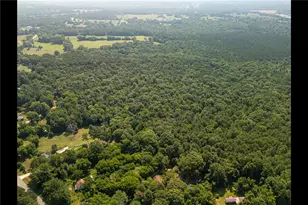 0 Carey Station, Greensboro, GA 30642 - Photo 8