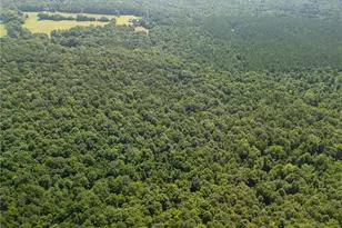 0 Carey Station, Greensboro, GA 30642 - Photo 2