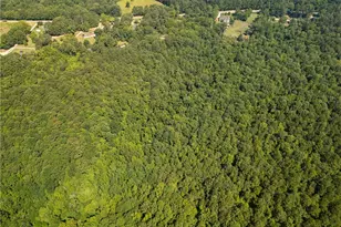 0 Carey Station, Greensboro, GA 30642 - Photo 14